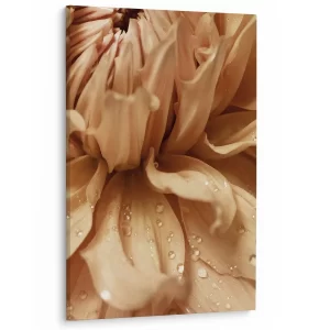 Ochtenddauw op bloemblaadjes