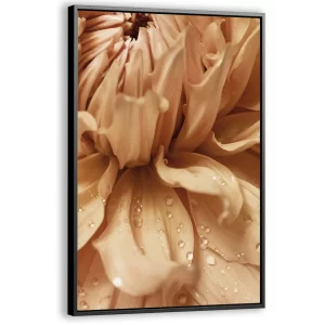 Ochtenddauw op bloemblaadjes