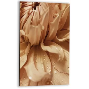 Ochtenddauw op bloemblaadjes