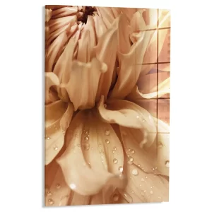 Ochtenddauw op bloemblaadjes