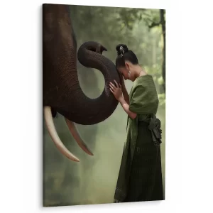 Harmonie met olifant