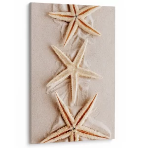 Zeesterren op zacht zand