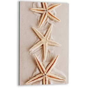 Zeesterren op zacht zand