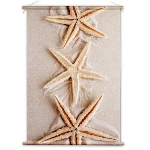 Zeesterren op zacht zand