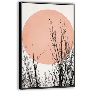 Boomtoppen in de zon