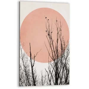 Boomtoppen in de zon