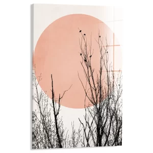 Boomtoppen in de zon