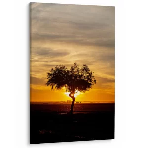 Eenzame boom in gouden licht