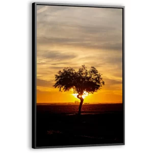 Eenzame boom in gouden licht