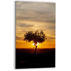 Eenzame boom in gouden licht