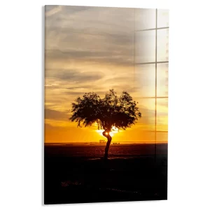 Eenzame boom in gouden licht