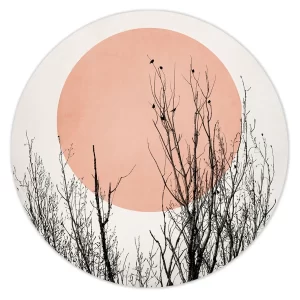 Boomtoppen in de zon