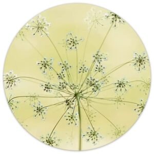 Dille bloem in lichtgroen