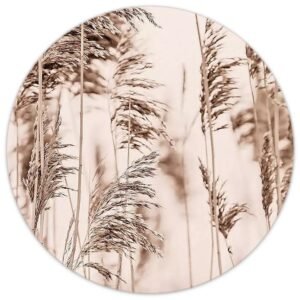 Rietpluimen in zachte beige tinten