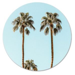 Palmbomen tegen een heldere blauwe lucht