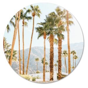 Palmbomen met bergen in de achtergrond