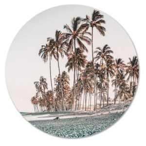 Palmbomen aan het strand