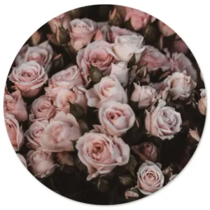 Rozen in warme poedertinten