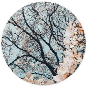 Magnolia bloesem tegen een lichtblauwe lucht